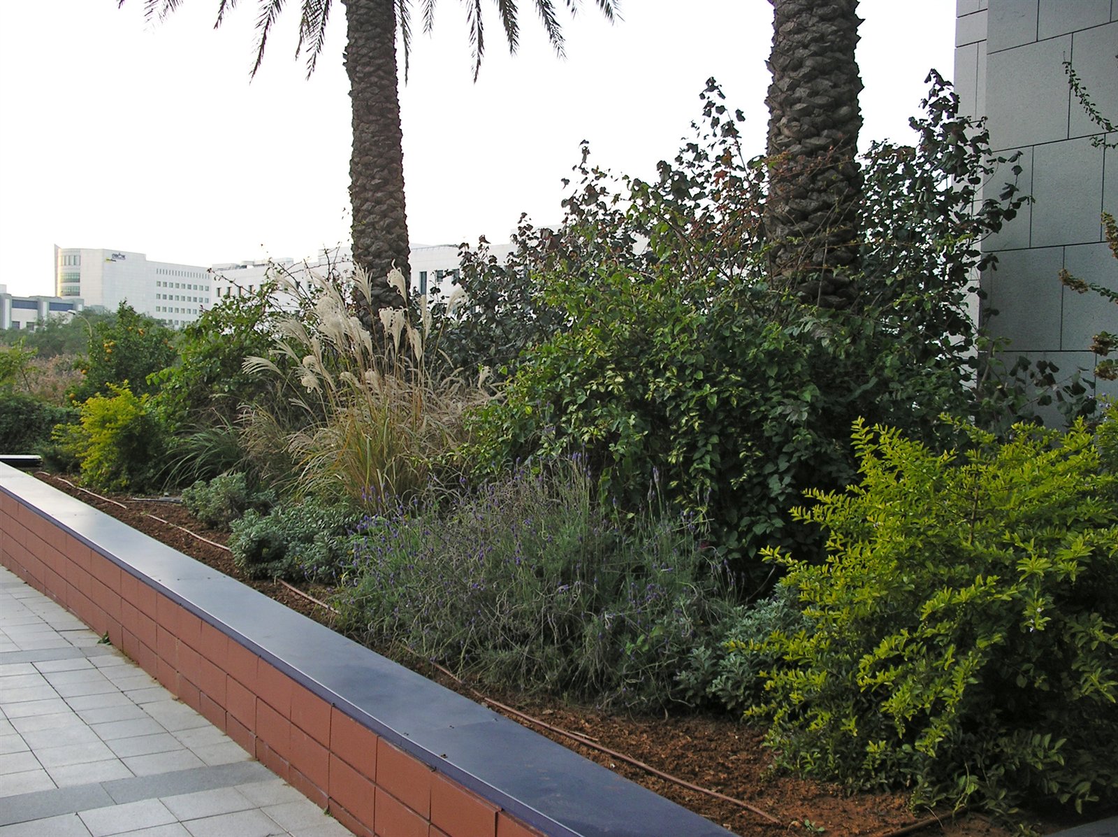בית אפלייד מטריאלס — רחובות