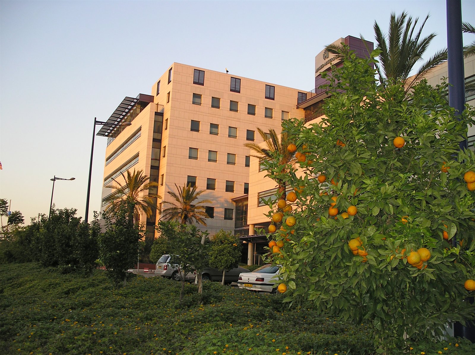 בית אפלייד מטריאלס — רחובות