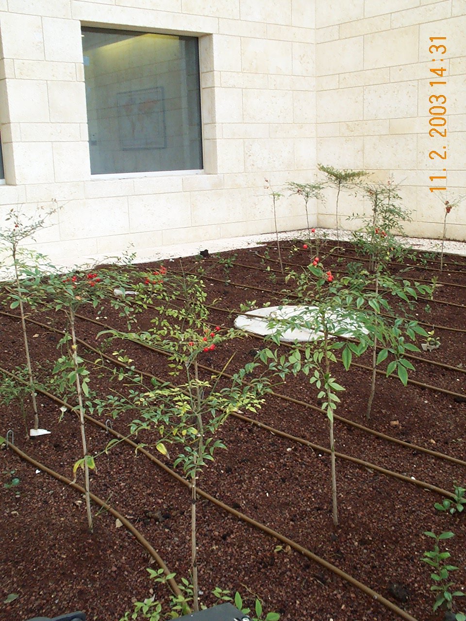משרד החוץ — ירושלים