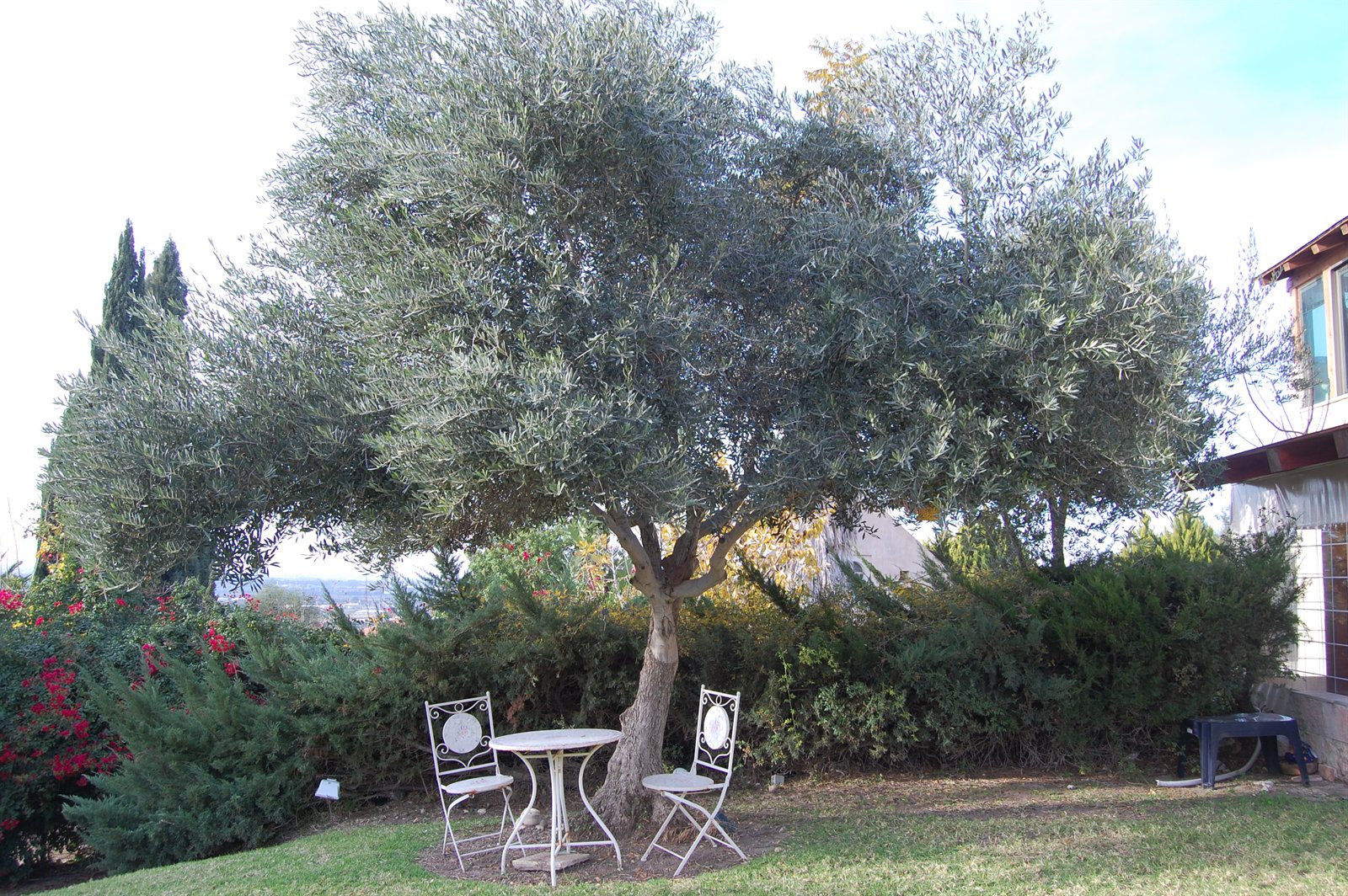 בית גוזני — כרמי יוסף