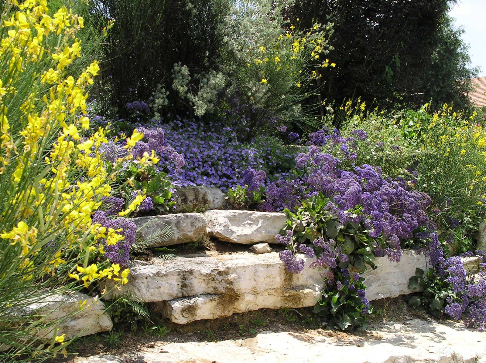 בית שפירא — כרמי יוסף