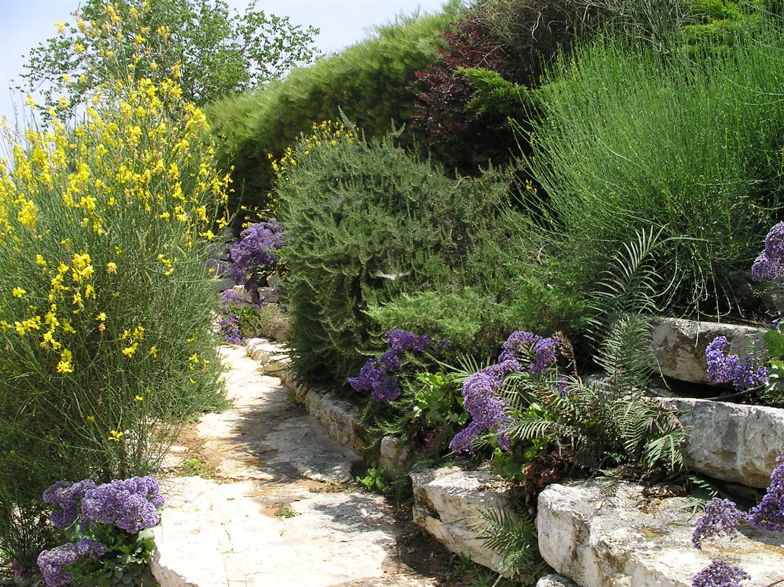 בית שפירא — כרמי יוסף