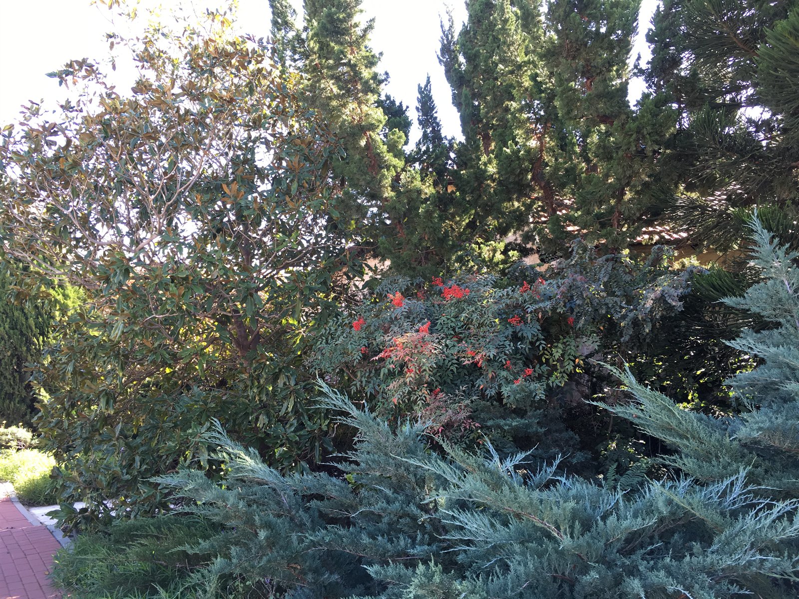 בית שוסיוב — כרמי יוסף