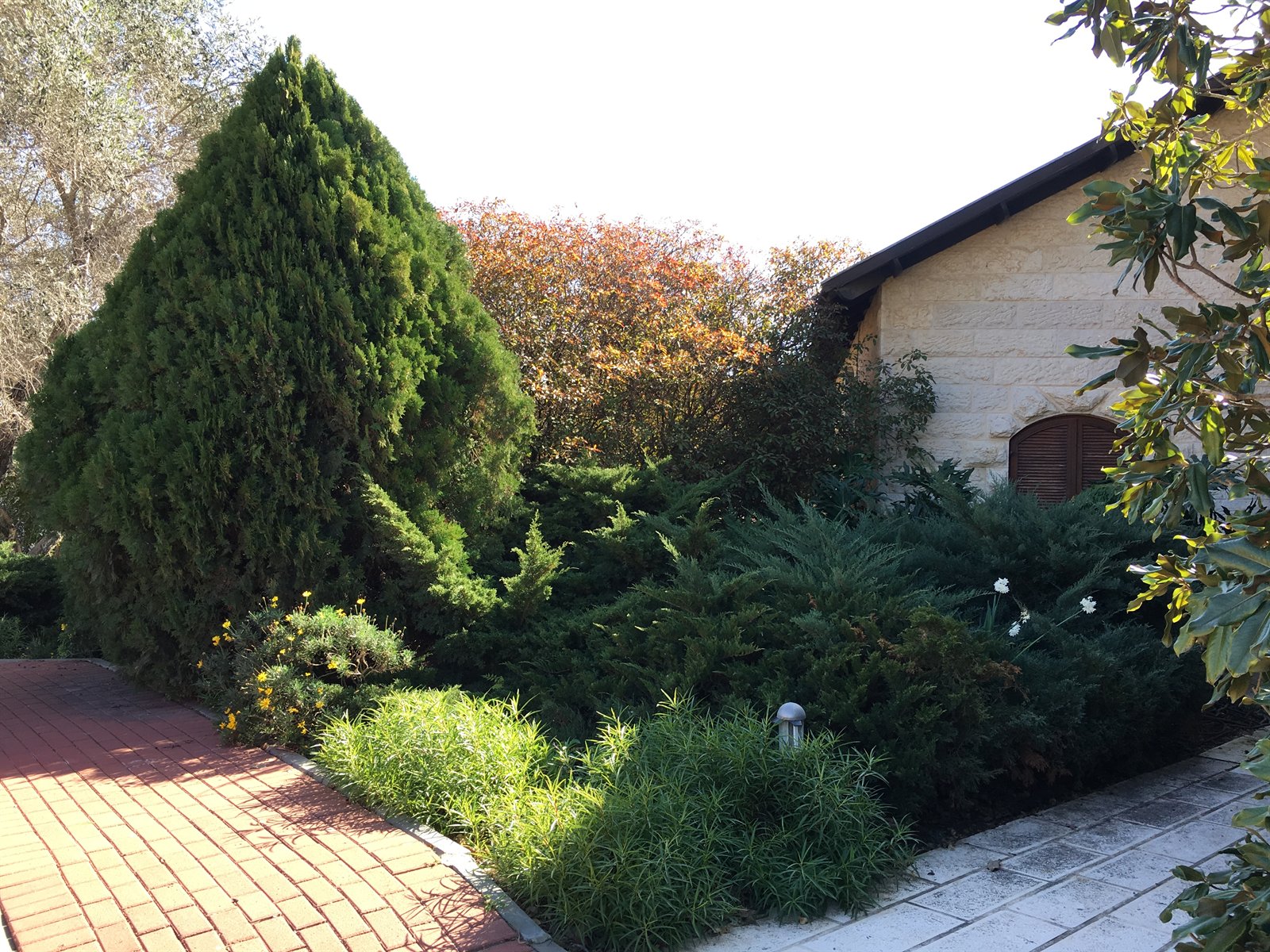בית שוסיוב — כרמי יוסף
