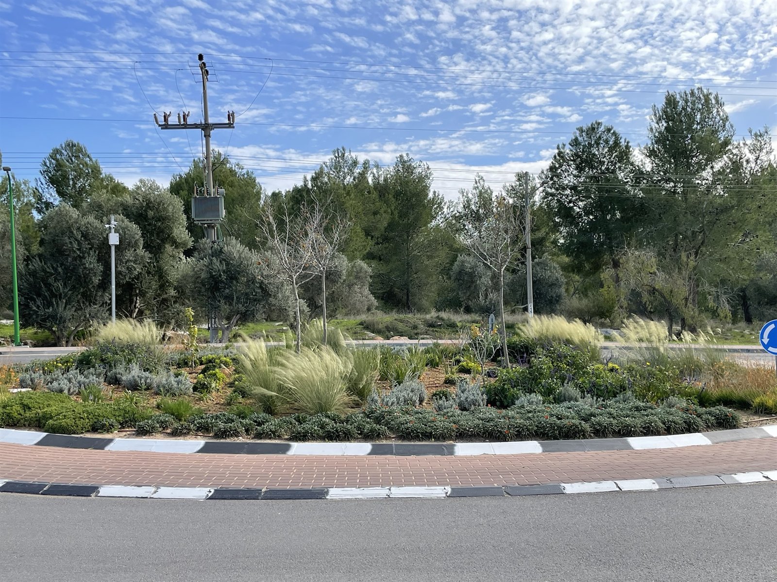 כיכר — כרמי יוסף