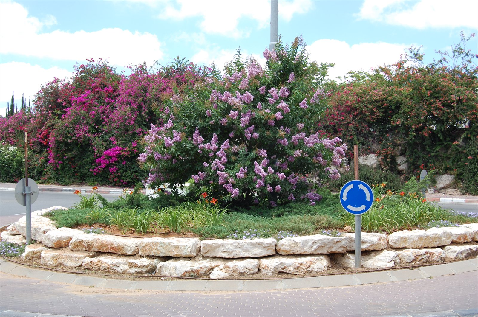 הכיכר הקטנה — לאחר שלוש שנים, כרמי יוסף
