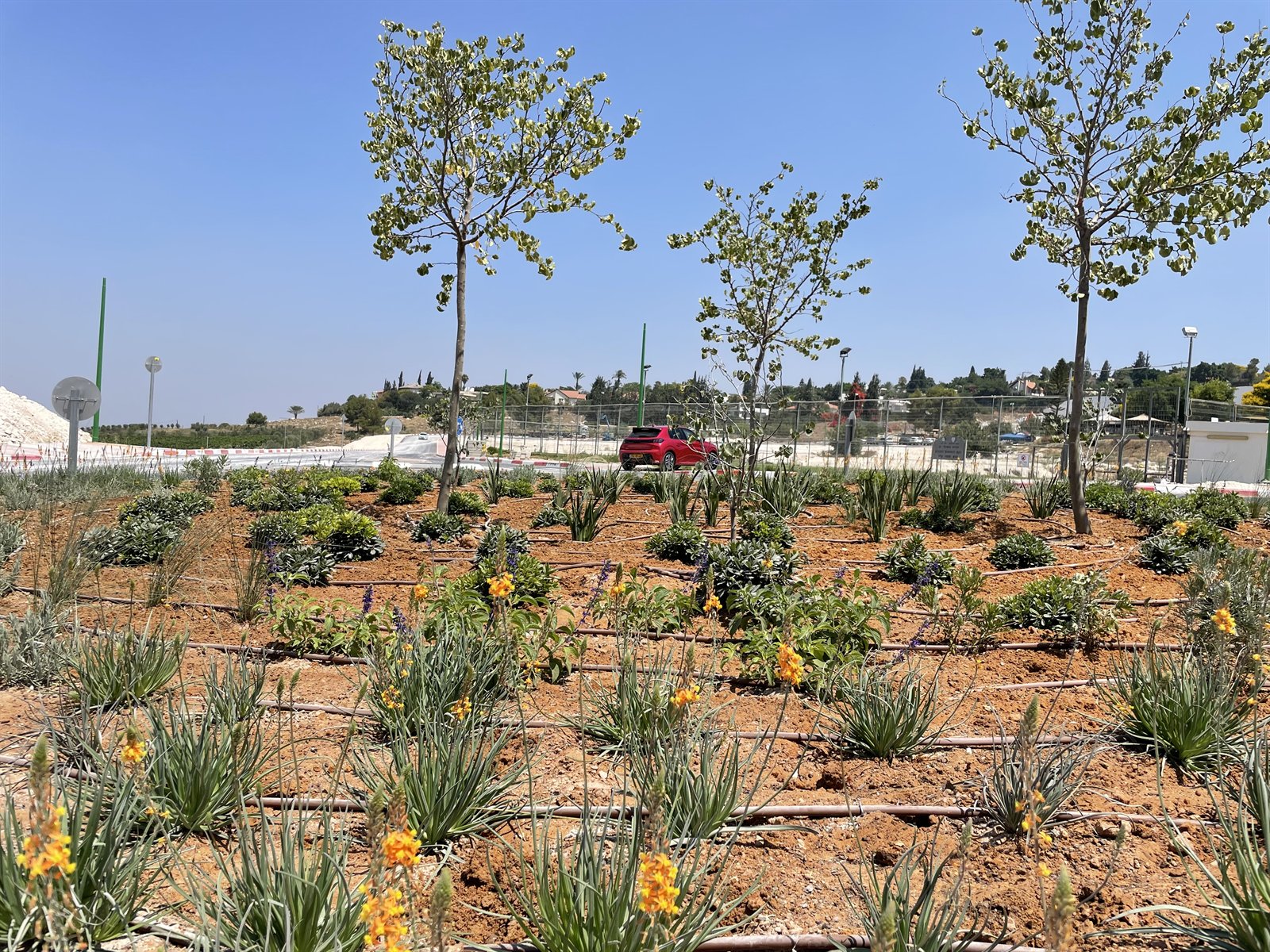 כיכר — כרמי יוסף