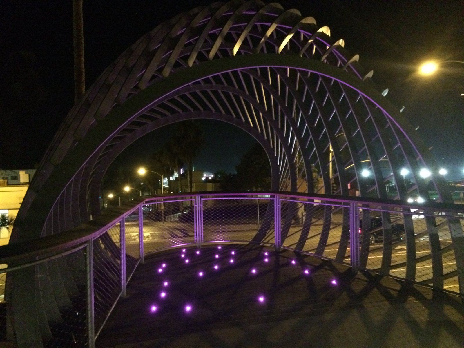 פארק טונגווה — סנטה מוניקה