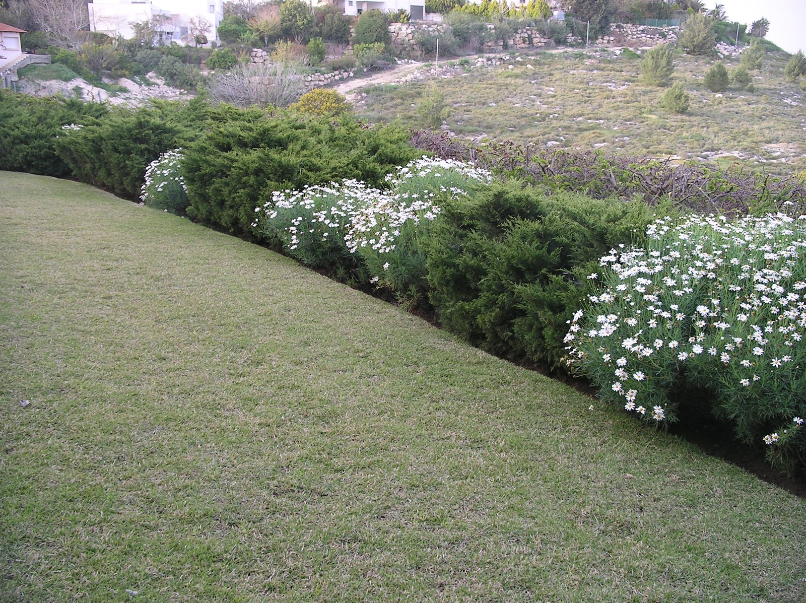 בית צוק — גן פרטי משקיף לנוף
